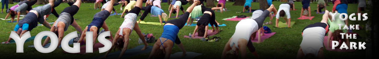 Yogis Banner